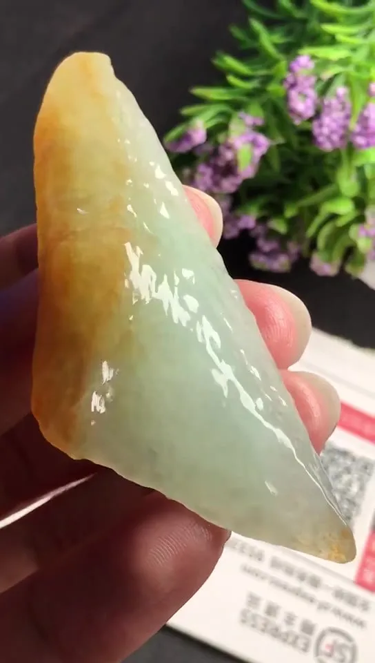 Natural Jade Rough Jadeite Raw (23g,6.7x2.6x1.1cm)-V1402