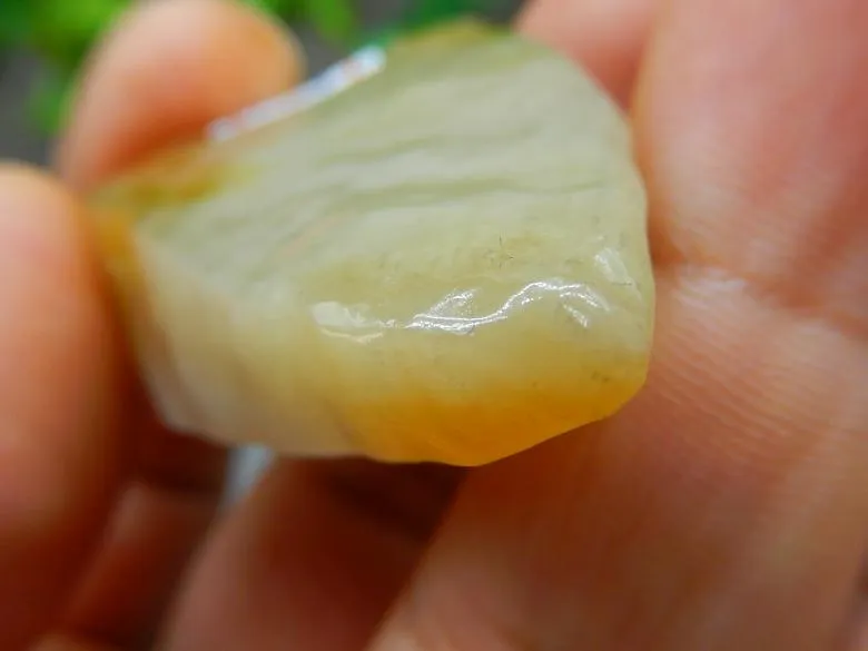 Natural Jade Rough Jadeite Raw (33g, 47X34X12.6mm)